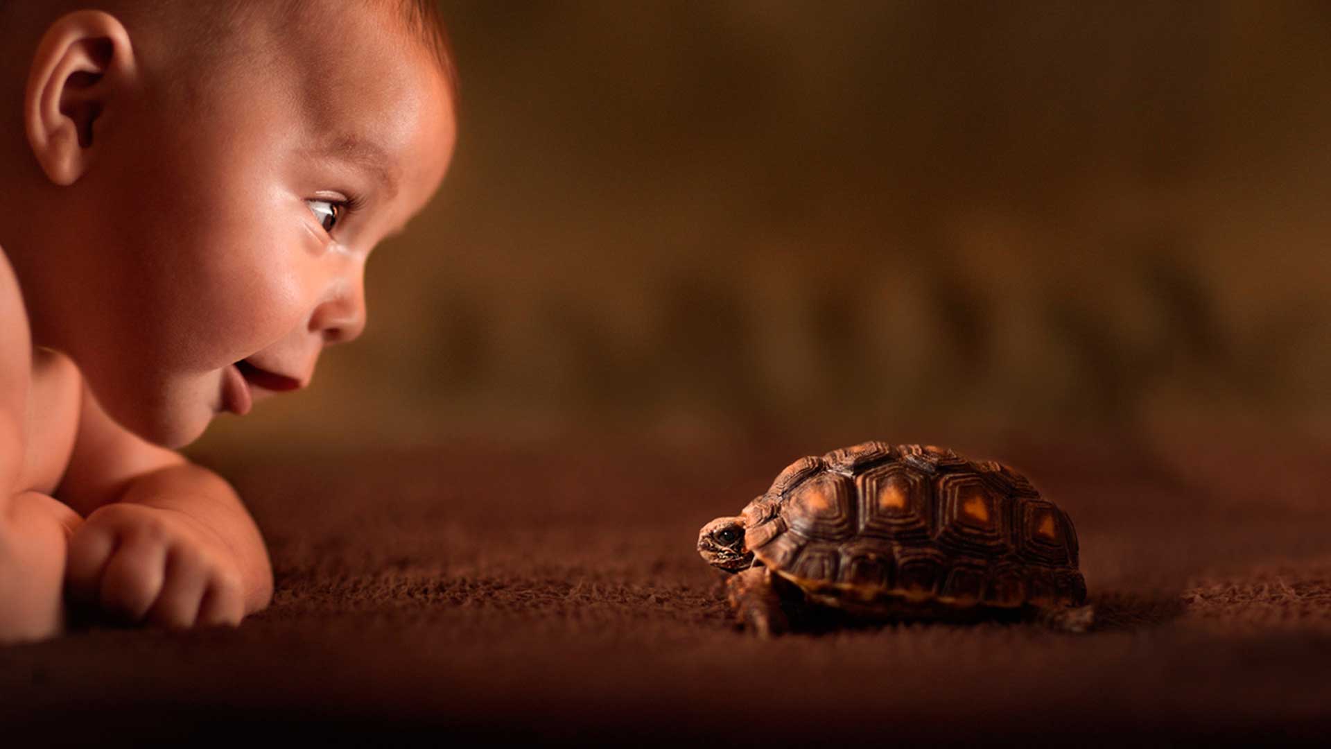 Welcome Lesson Center